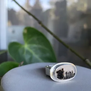 Cholla ring