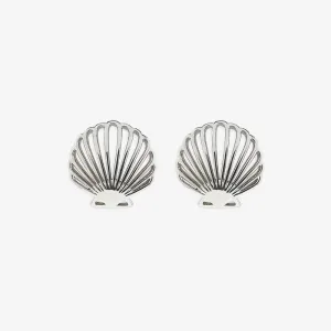 Delicate Shell Stud Silver Earrings