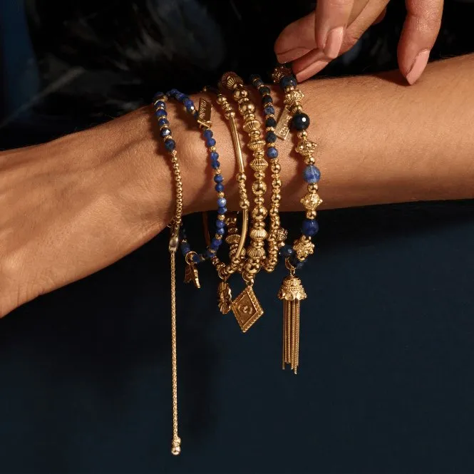 Gold Midnight Star Sodalite Adjustable Bracelet GBASFB